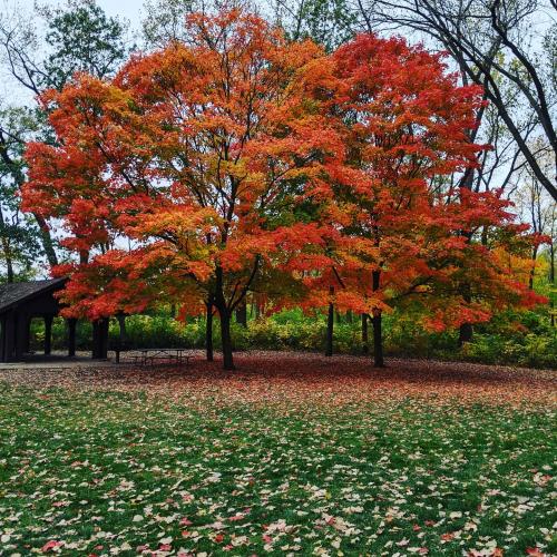 20:36:57 GMT-0600 (CST)