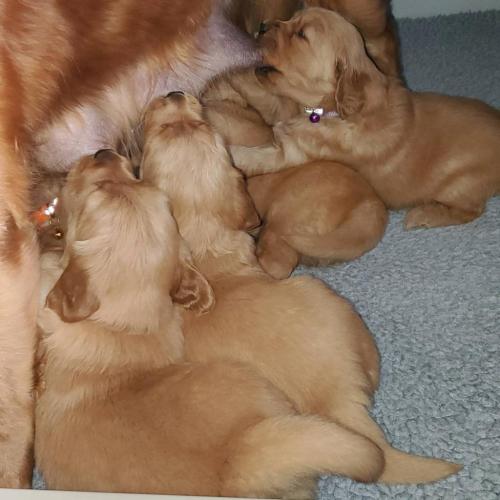 15:14:33 GMT-0500 (EST)