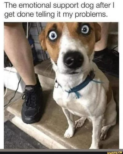 16:40:20 GMT-0500 (EST)