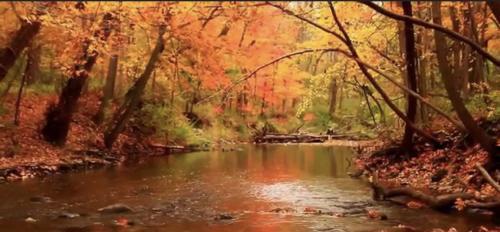 10:48:51 GMT-0500 (EST).image