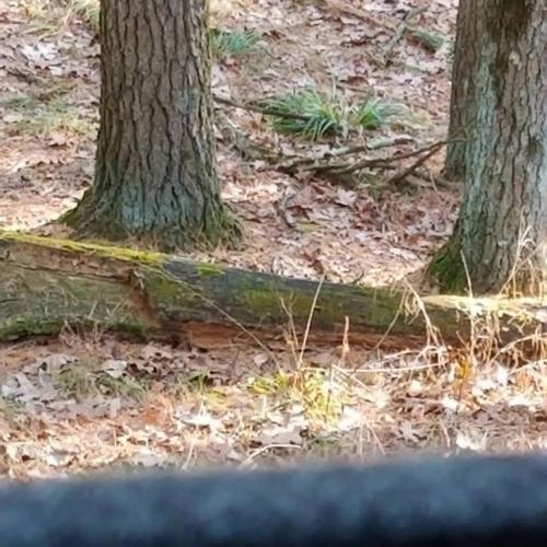 21:55:52 GMT-0600 (CST)