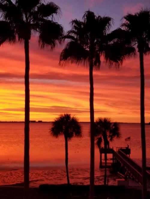 08:54:58 GMT-0500 (EST).image