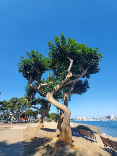 15:47:39 GMT-0800 (PST)