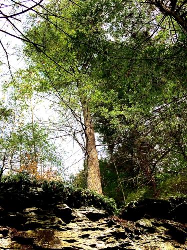 16:01:55 GMT-0500 (EST).image