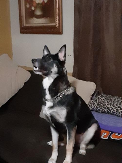 125849995_404951134247268_659090598736259179_n