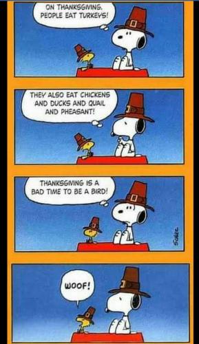 Screenshot_2020-11-25-10-01-46-1