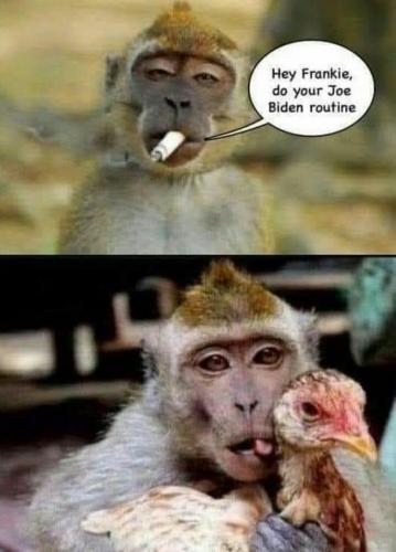 Screenshot_2020-09-29-06-34-59-1