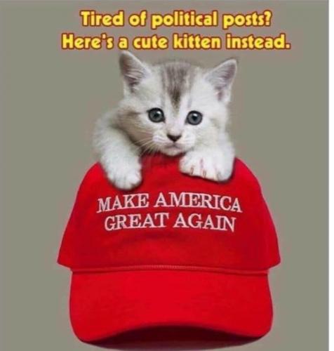 000000000000000000000000000000000000zxc