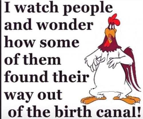 FB_IMG_1604308744690