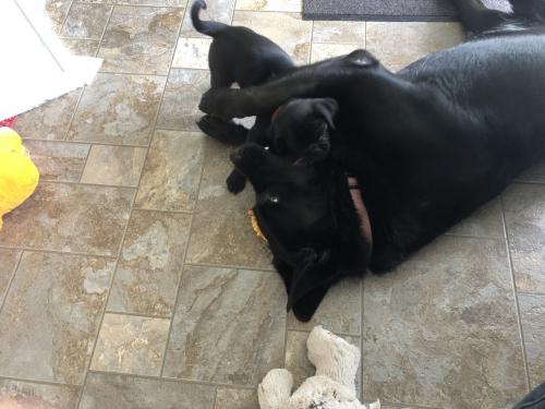 19:49:44 GMT-0600 (CST).image