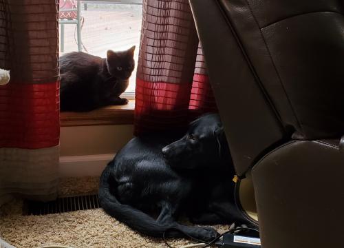 18:22:00 GMT-0600 (CST)