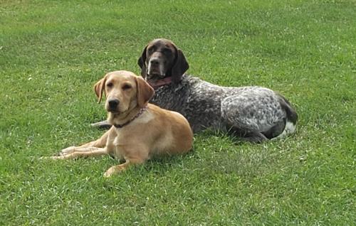 15:44:06 GMT-0600 (CST)