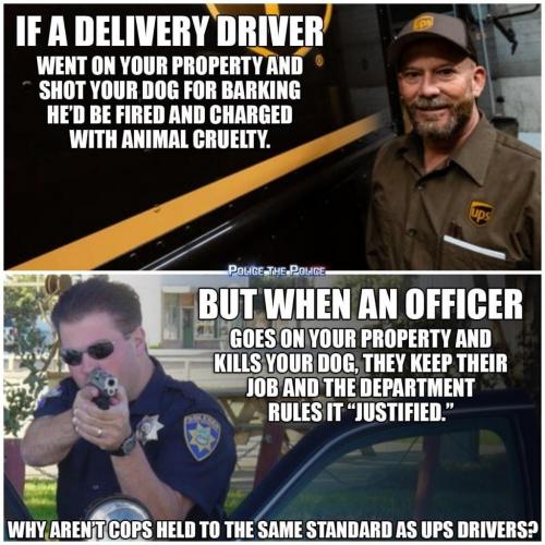 125286270_402324431097280_5906821950420948825_o