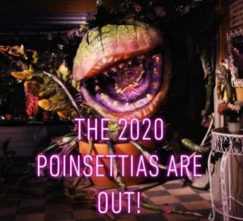 2020iiii