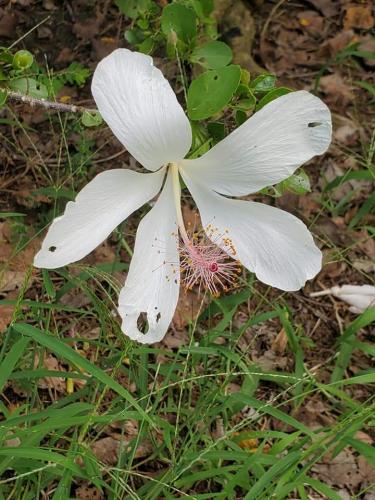 15:06:59 GMT-0800 (PST)