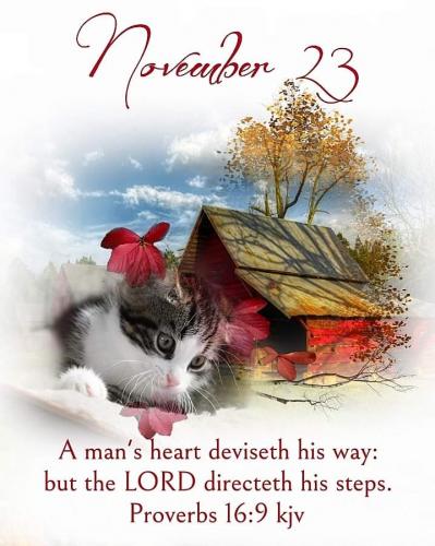 08:44:52 GMT-0600 (CST)