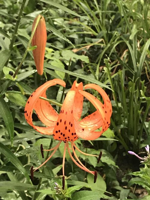 14:47:40 GMT-0500 (EST).image