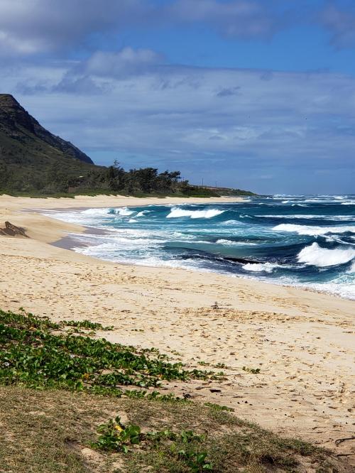 08:27:49 GMT-0500 (EST)