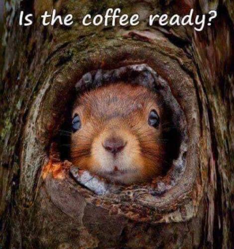 06:49:23 GMT-0600 (CST)