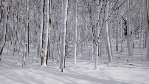 FB_IMG_1604937763786 - Copy