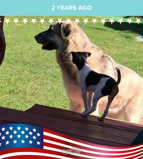 11:59:51 GMT-0600 (CST).image