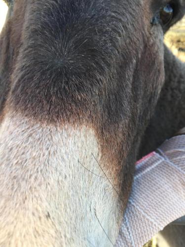 17:24:15 GMT-0800 (PST).image