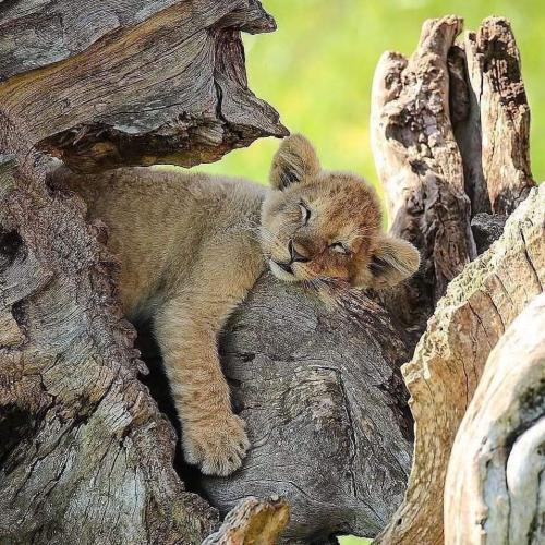 128930188_647998202535073_8637609790966262106_n