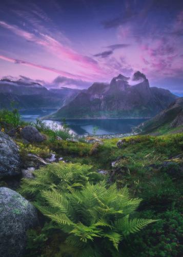 tumblr_pp8n0ak5Vo1szm930o2_r1_540