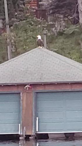 00:34:10 GMT-0600 (CST)