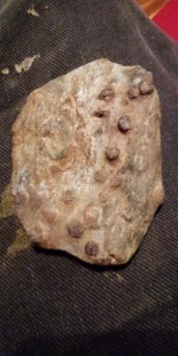 03:49:15 GMT-0600 (CST)