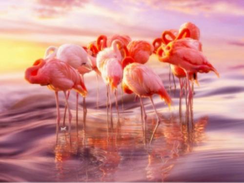 21:53:28 GMT-0500 (EST)