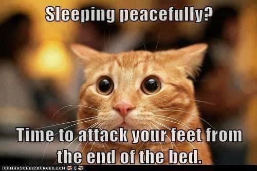 E90D051A-5E7F-47E9-BA83-9AD8D20242E5