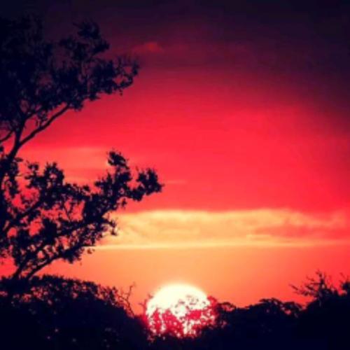 10:32:29 GMT-0600 (CST)