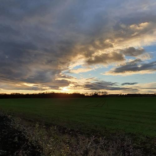 inbound7297269352376133174