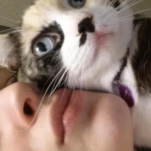 09:16:29 GMT+0100 (WAT)