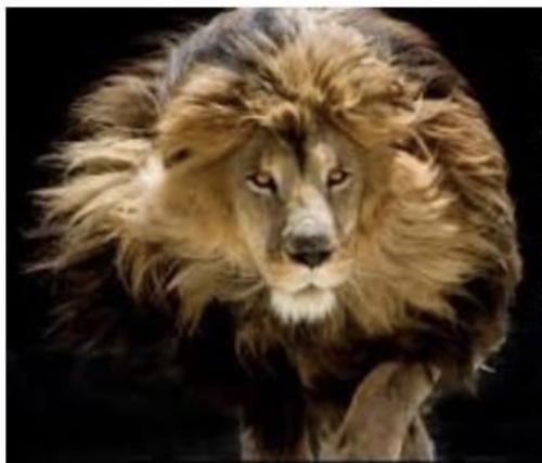 EB24F895-D689-48A2-B24E-5C51E037DA54