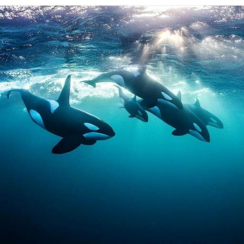 126354130_216929356538631_4977851853637369490_o