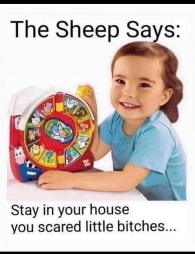 06:14:24 GMT-0800 (PST).image