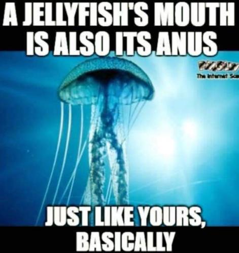 20:37:33 GMT-0600 (CST)