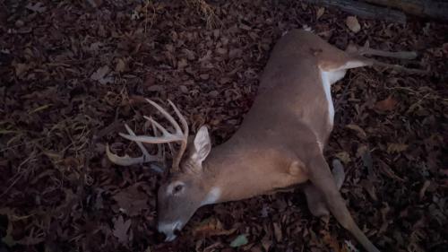 23:57:13 GMT-0500 (EST)