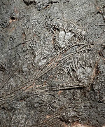 21:50:00 GMT-0600 (CST)