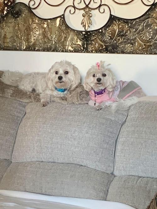 12:03:50 GMT-0600 (CST)