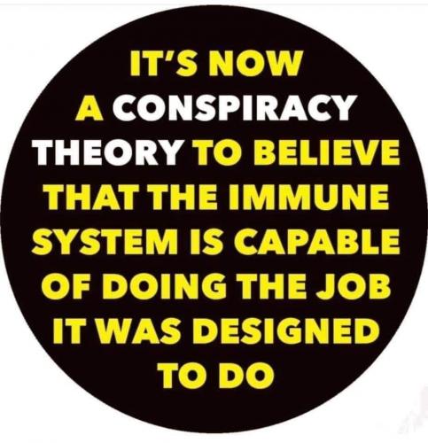 corona virus immune system conspiracy theory 118562539_10223873634249947_7876966583599897978_n