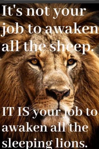 #WakeUp #Patriots @OsPando