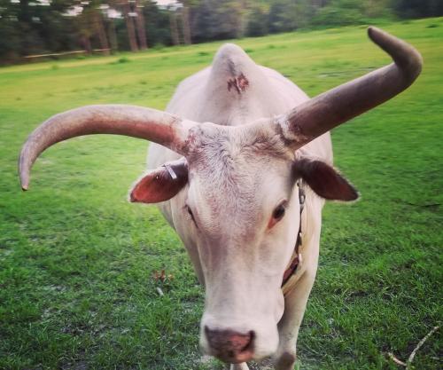 IMG_20200614_222749_760