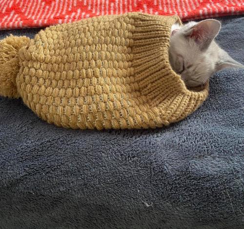 13:24:52 GMT-0500 (EST).image