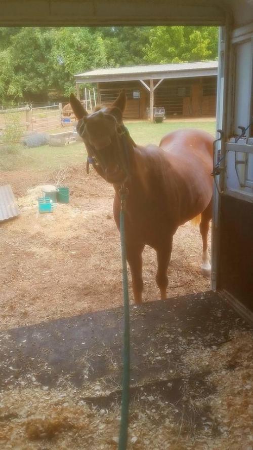 15:54:51 GMT-0600 (CST).image