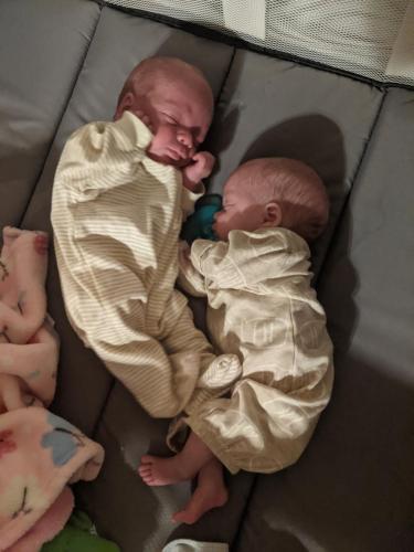 14:49:46 GMT-0500 (EST)