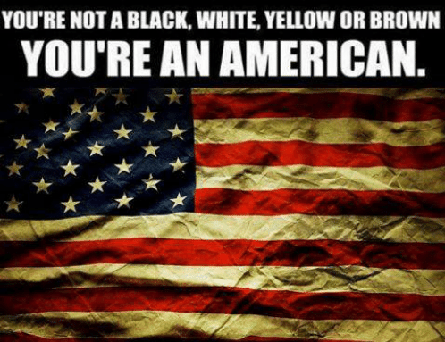 youre-not-black-white-yellow-or-brown-youre-an-american-21795872_kindlephoto-127122365