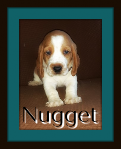 120636078-1774810412673532-6115068283409898882-n